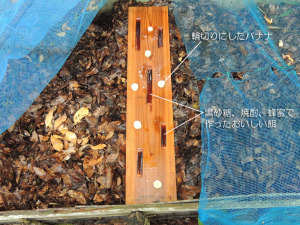 カブトムシ餌台設置